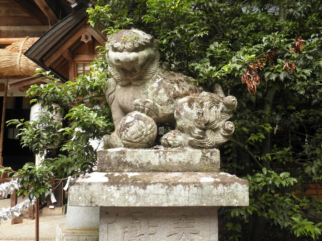 大宮熱田神社　狛犬　Oomiyaatsuta shinto shrine by nkmroioikkkz