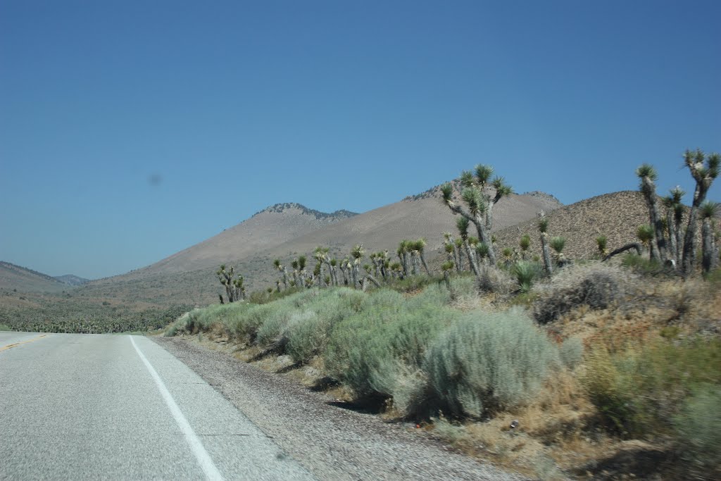 Ridgecrest - California by Paololitico