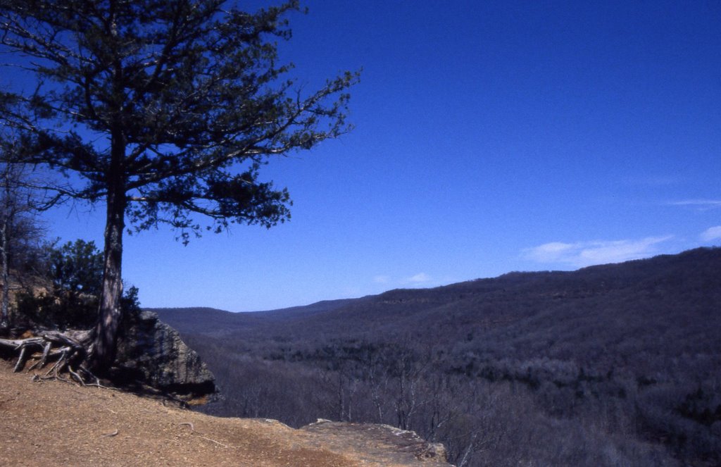 View from Yellow Rock Trail on Lee Creek by joearruda