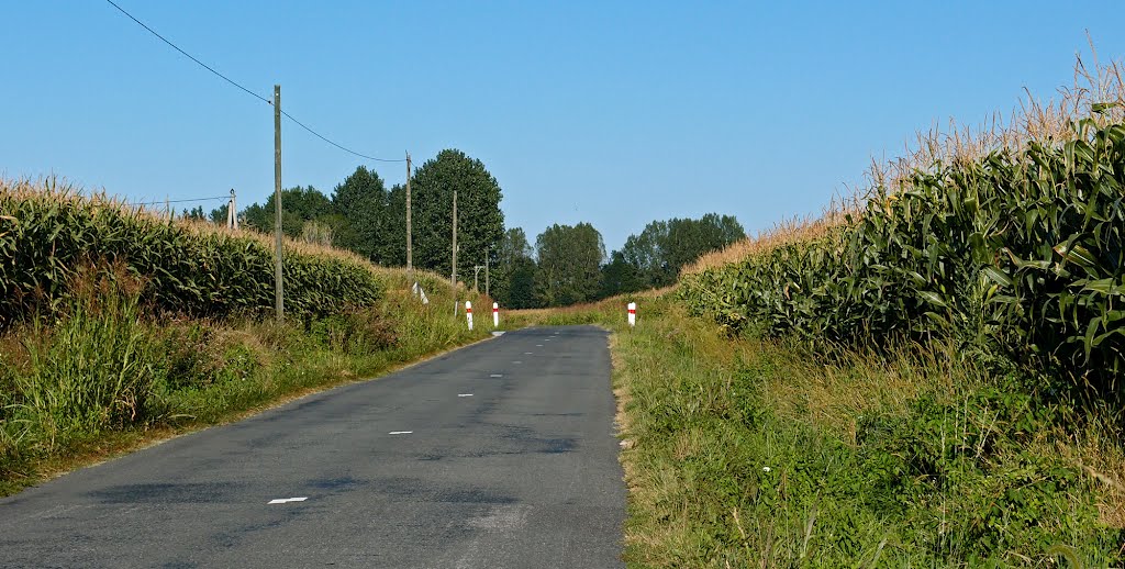 Hemmed in by corn - Sep 2012 by Mike Stuckey