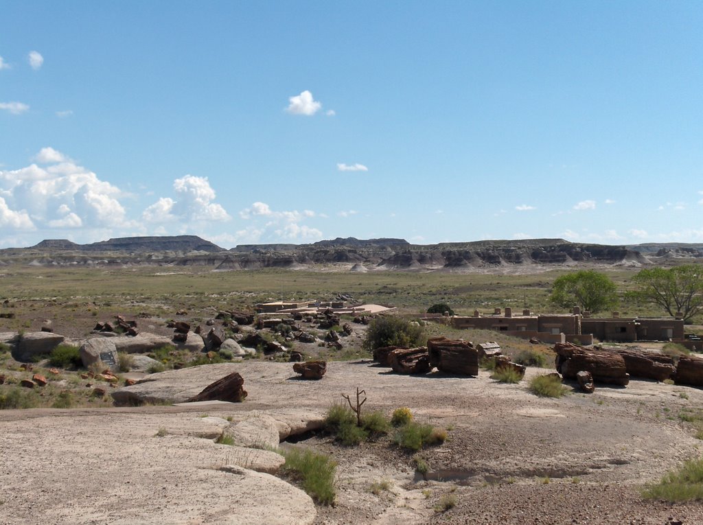 Petrified Forest National Park by Matt C