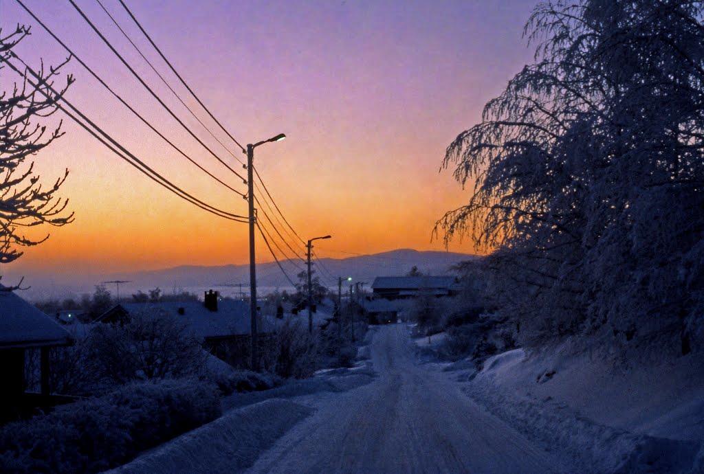 Frognerlia, Lier, Norway by Egil Orndal