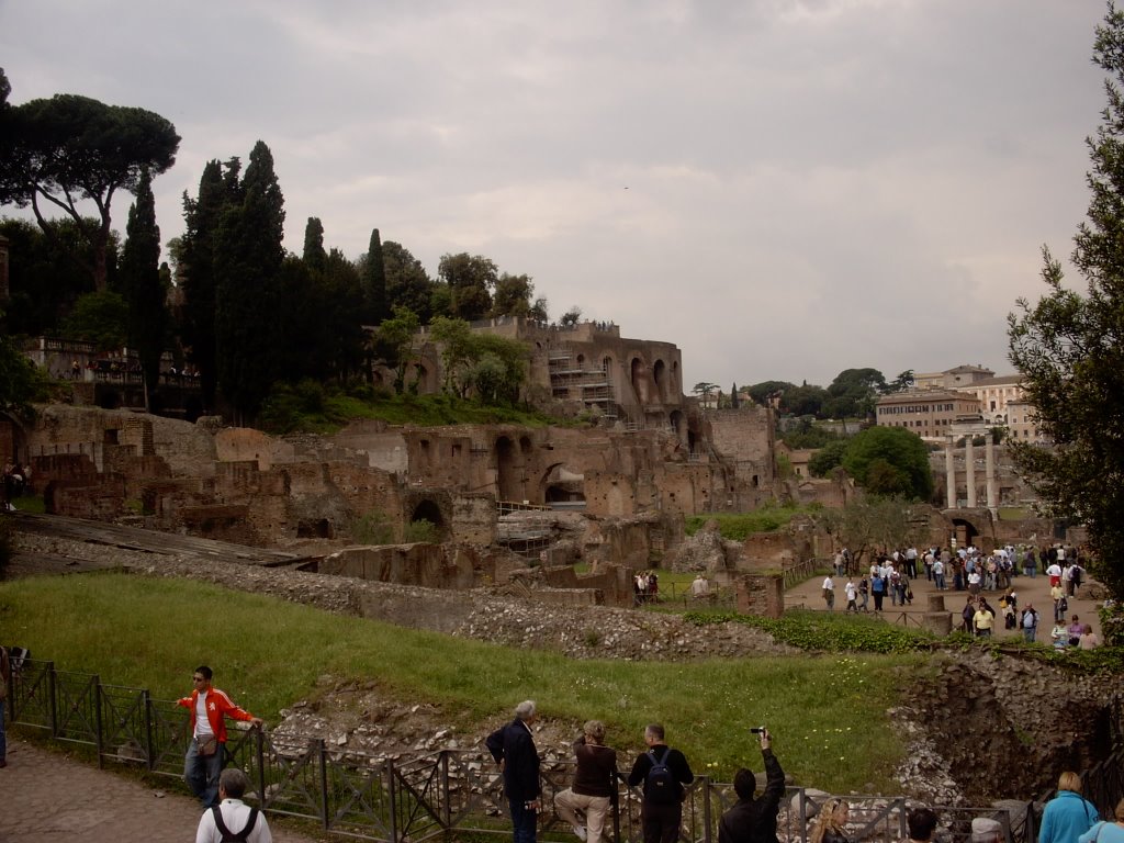 The Forum - Rome, Italy by benitolaxa