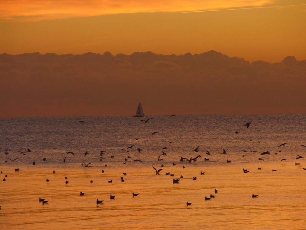 Saltdean Beach by Phil Saunders