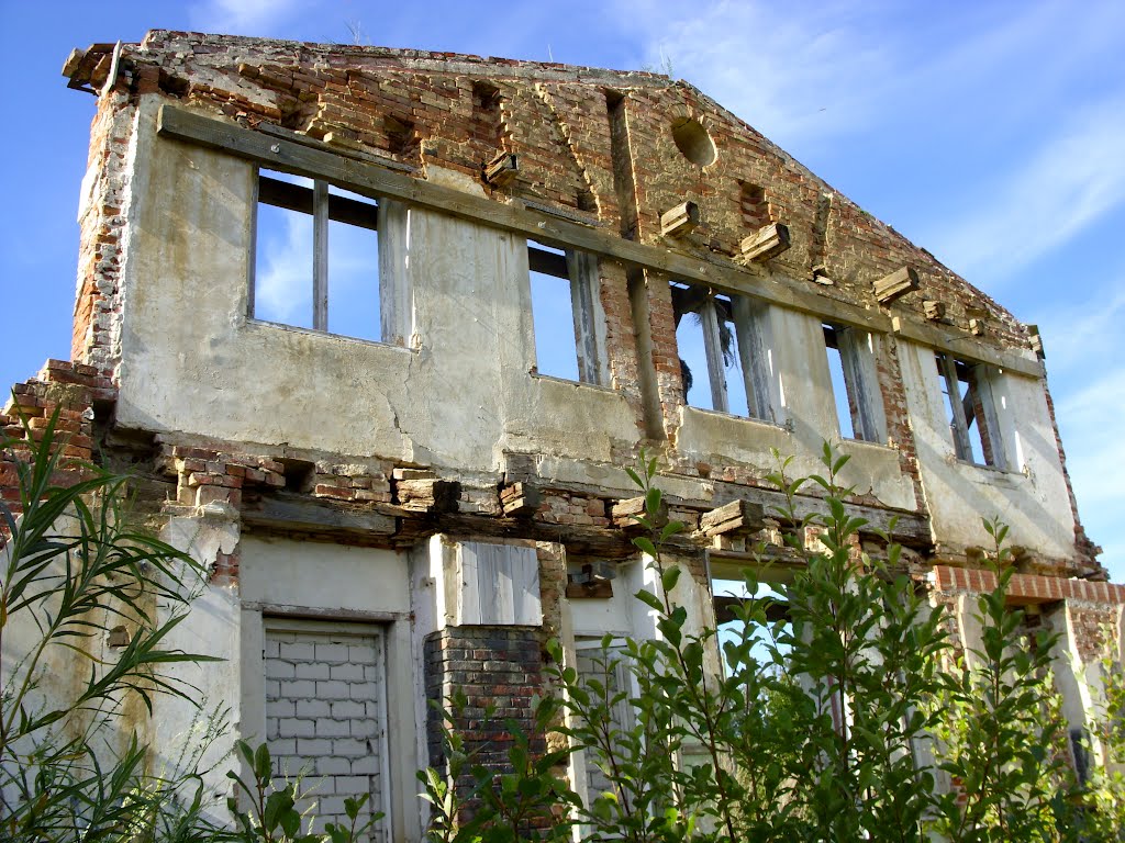 Gutshausruine Rosengarten by der Dänholm grüßt