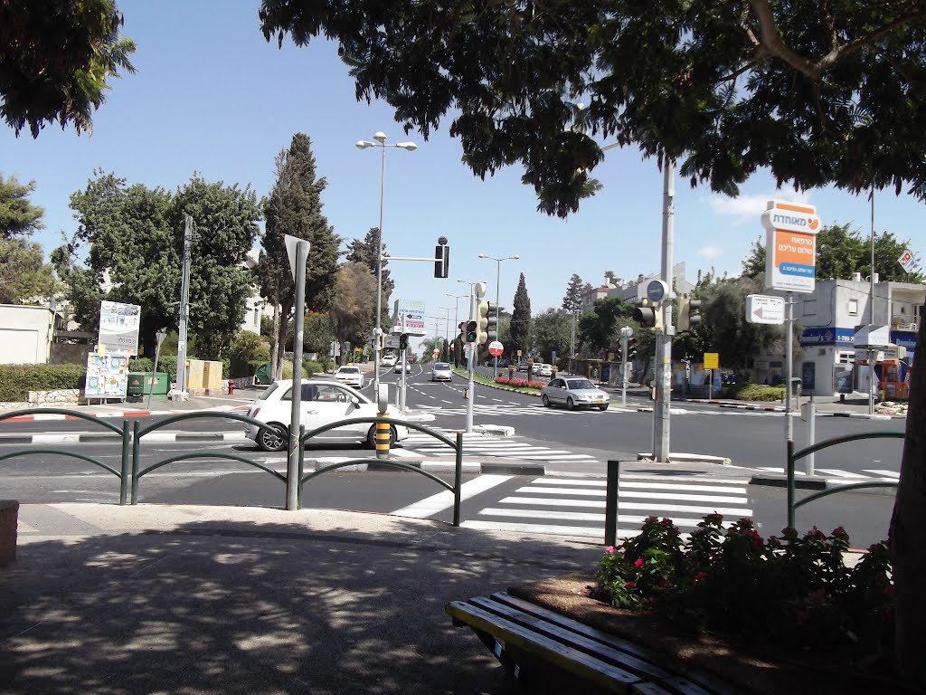 Sderot Trumpeldor, Haifa, Israel by Stoyanka Robova