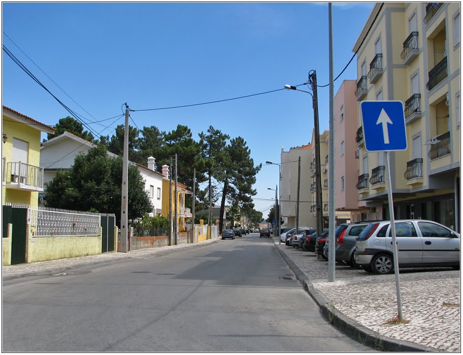 Rua Afonso Costa by Barragon