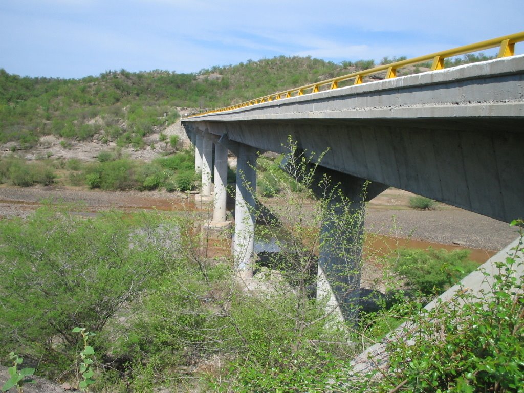 Puente el yaqui by feliz