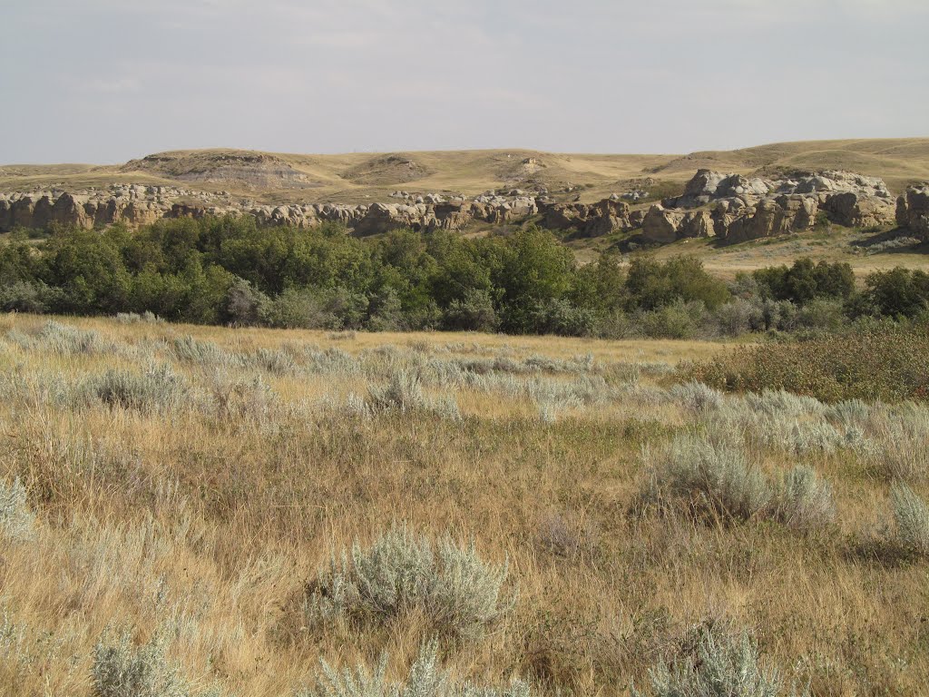 Contrasting Colours In The Badlands In Writing-On-Stone Provincial Park AB Sep '12 by David Cure-Hryciuk