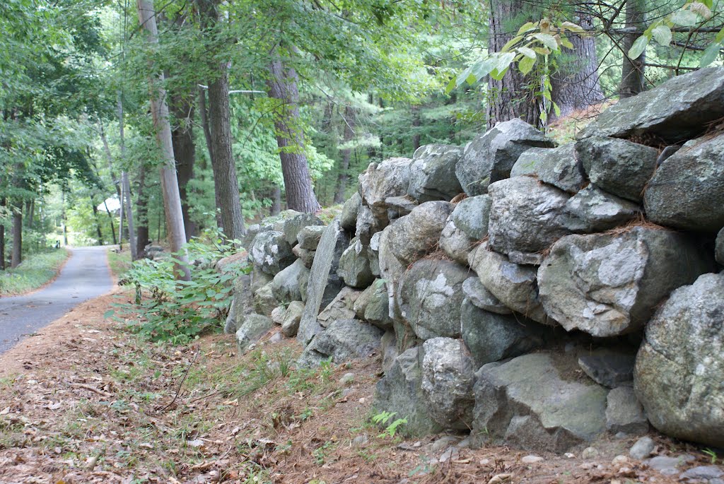 Rock wall, path towards Prospect Road. by Boston Hill Fan