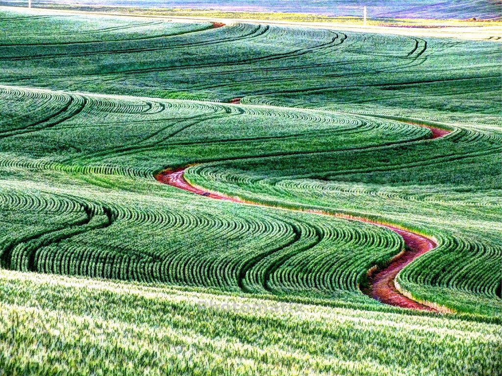 Riebeek West ,Die Swartland,South Africa by van vuuren