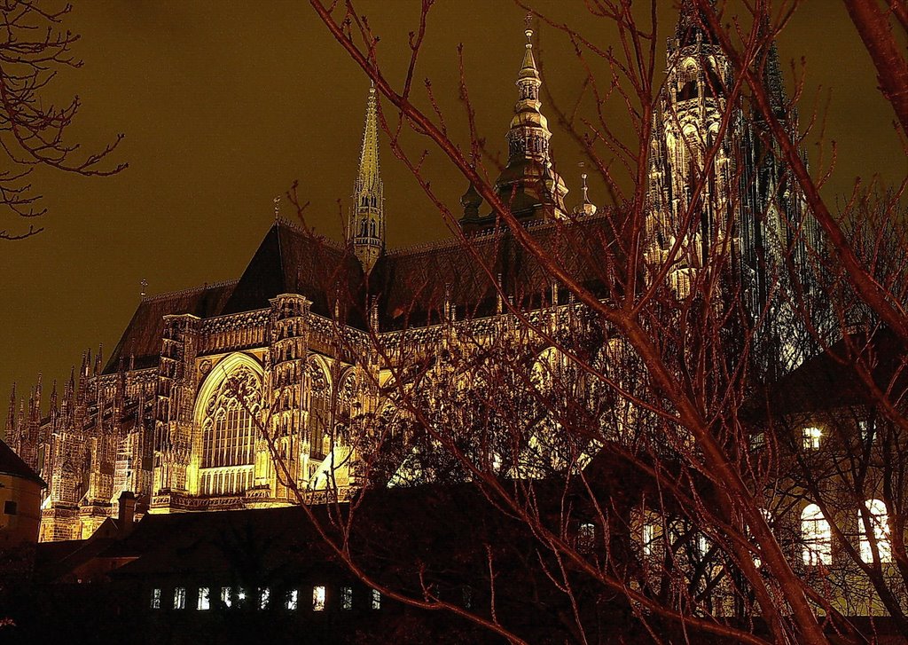 Catedral De San Vito by Carlos Duclos