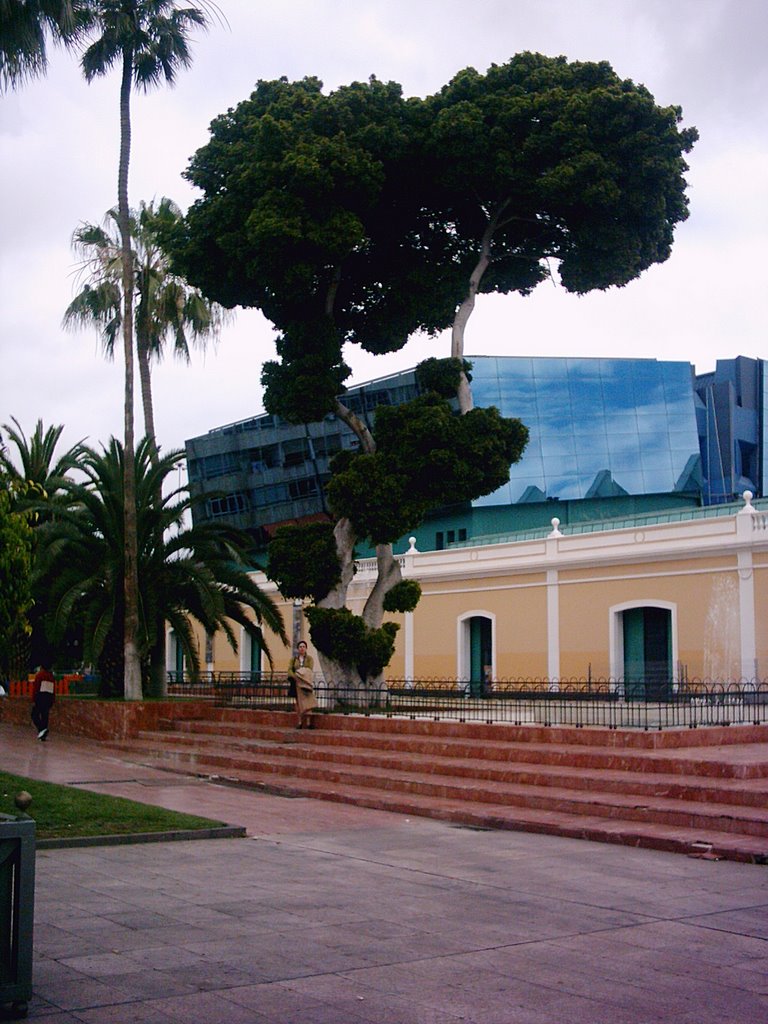 Museo de La Ciencia en el Parque de Santa Catalina by Lindalula