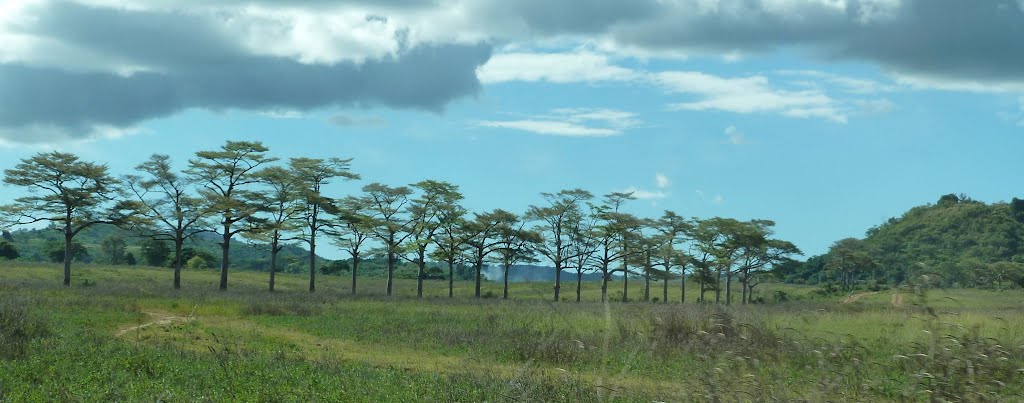 Sur la route de l'hotel by sill's