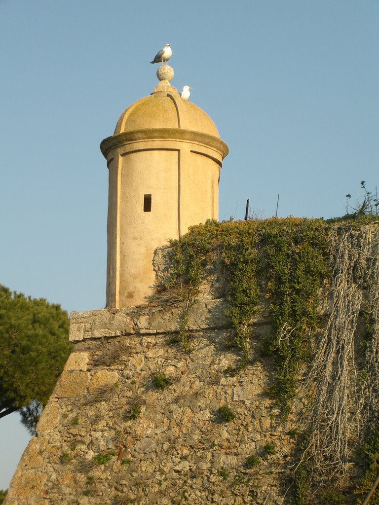 Orbetello - GR - Gabbiani di...guardia by © Aldo Larosa