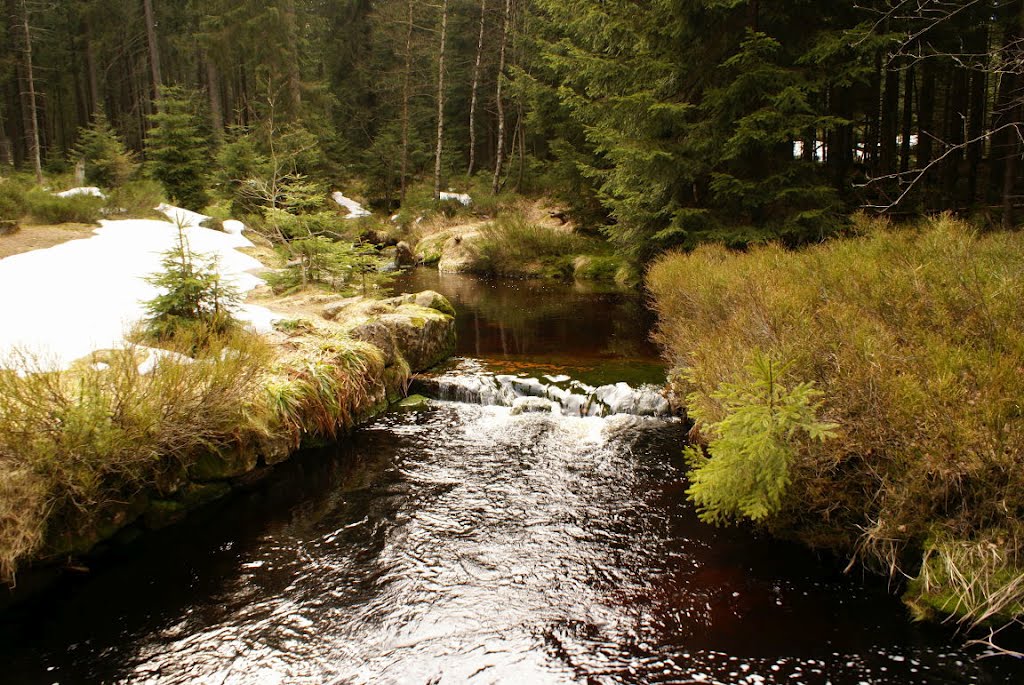 Rehbach (Harz) by Altmeister