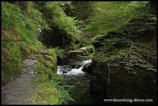 Lydford Gorge by christmas