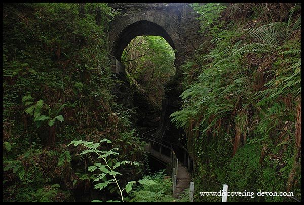 Lydford Gorge by christmas