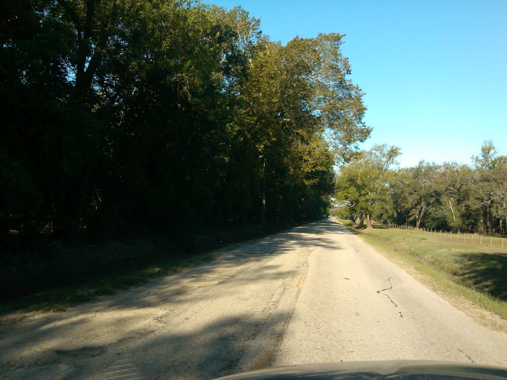 Paterson rd. Houston Tx by davidraystevens