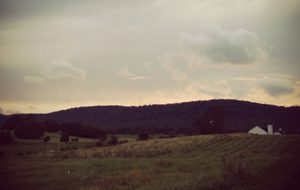 Powell Mountain Sky [see comment] by LLWall(SIGN PETITION!)