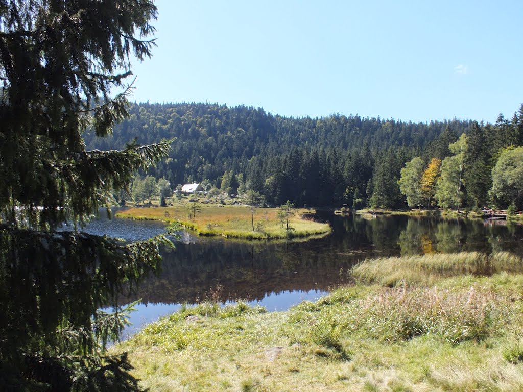 Small Maple Lake (Kleiner Arbersee 927m asl) in Bavaria by Jaroslav Presl