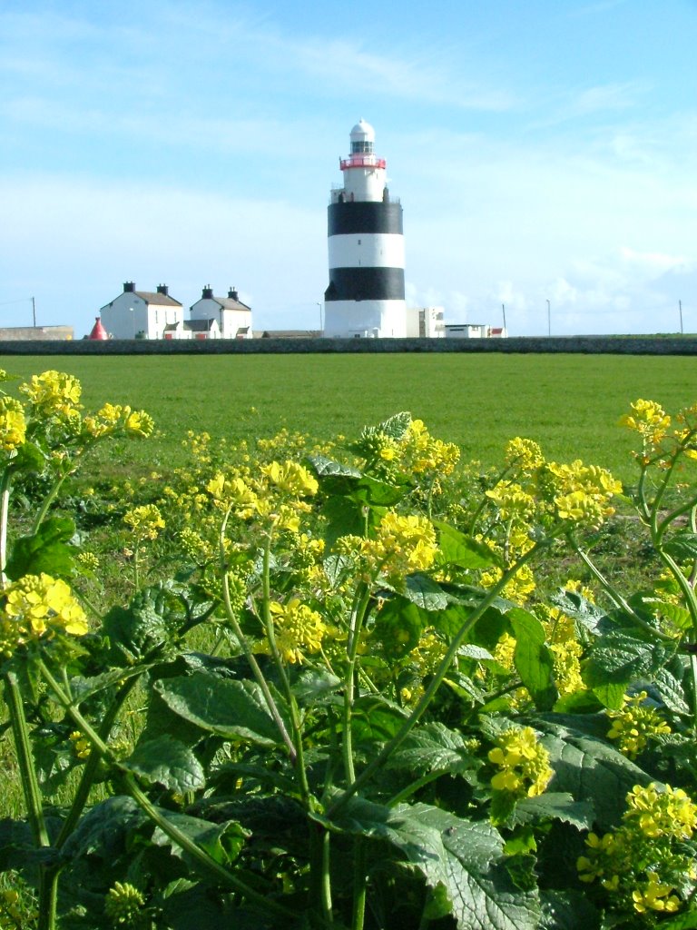 Hook Lighthouse, Wexford by maur27