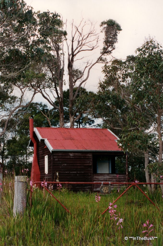 Rosa Glen CWA Hall, 1994 by InTheBush