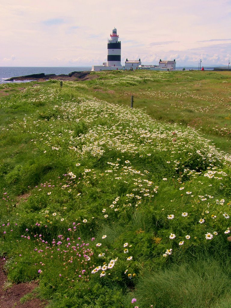 Churchtown, Harrylock, Co. Wexford, Ireland by maur27