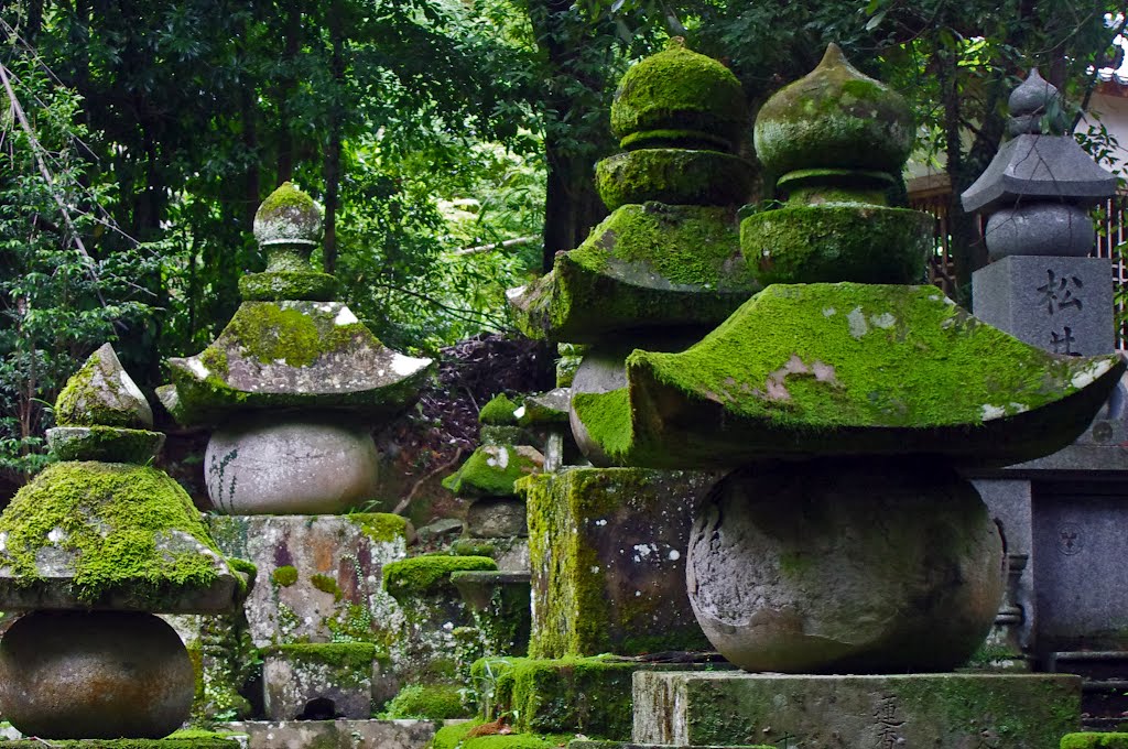 Moss covered Matsui family tombstones, Yatsushiro 春光時　八代　熊本 by Todd Stradford