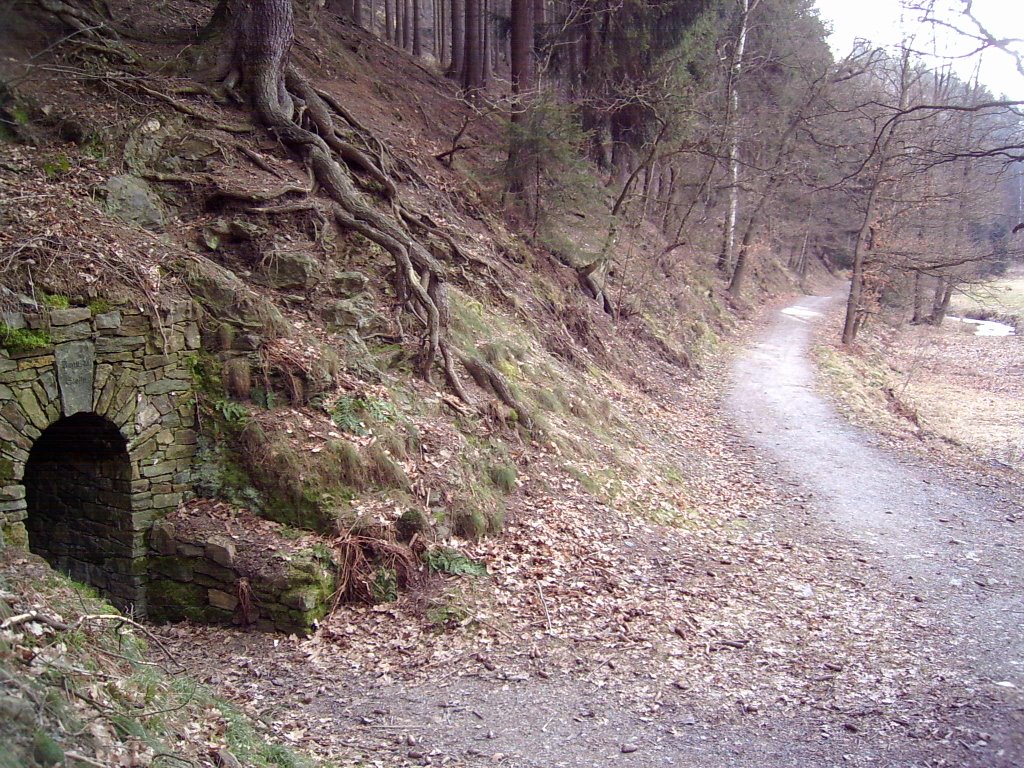 Mundloch des "Augusta Erbstollen" im Sternmühlental am Wanderweg entlang des Schwarzbachs by mariogenexgode