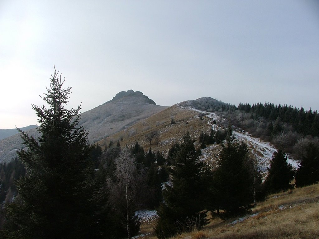 Monte Generoso by Lanfranconi Gilberto