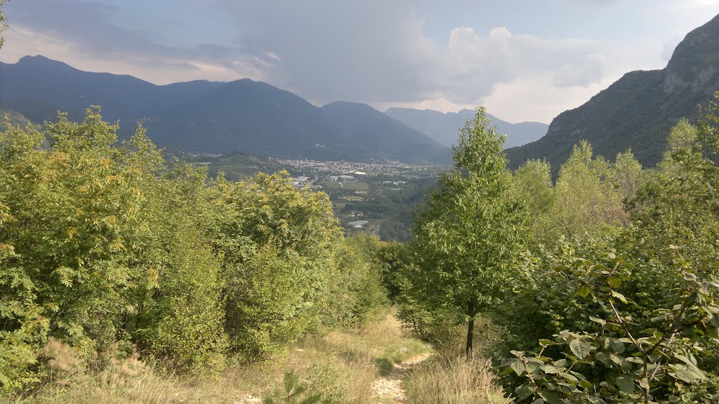 Da Trincee verso Civezzano - Vista di Pergine Valsugana by colemarc