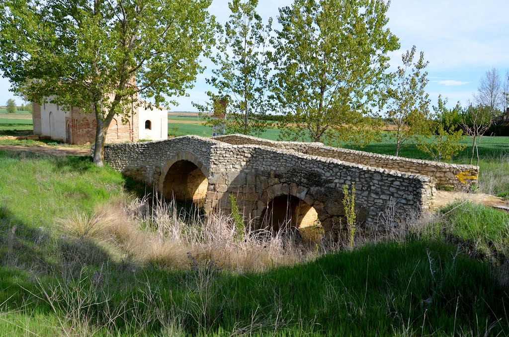 Camino de Santiago / Jokūbo kelias / Jacob Way - Sahagun area by Renatorius (Reno)