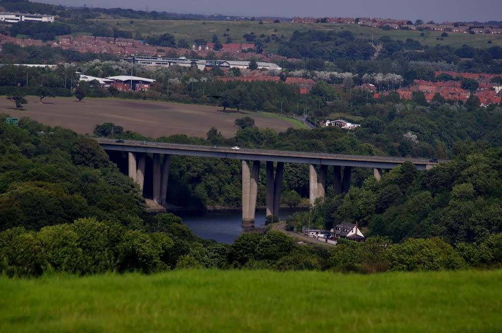 Sunderland river WEAR by MrTed