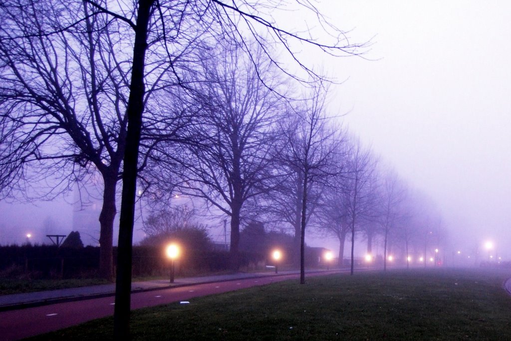 Mist in Groningen by Guido Musch