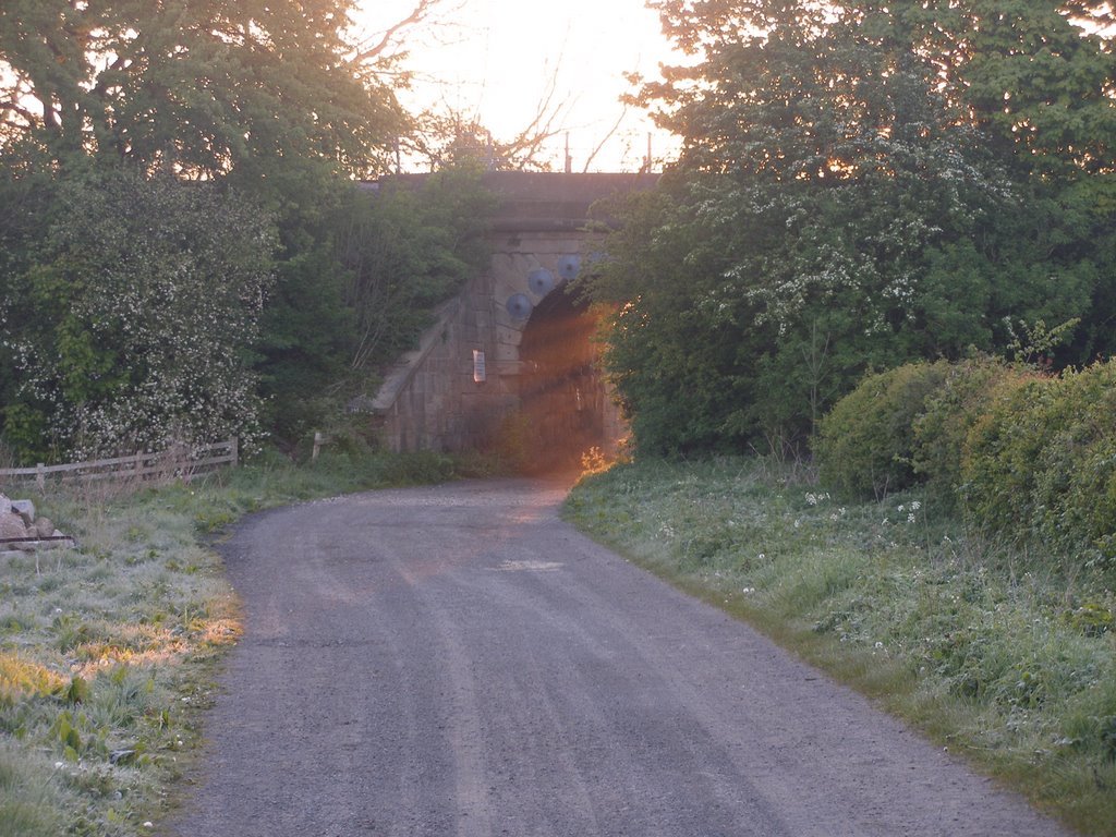 Railway Bridge - May 2005 by kipperfeet