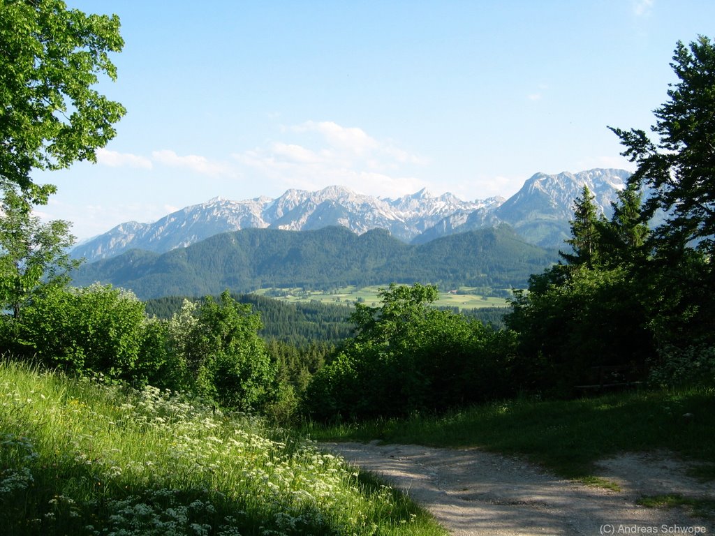 Weg hoch zur Burg Hohenfreyberg by Andreas Schwope