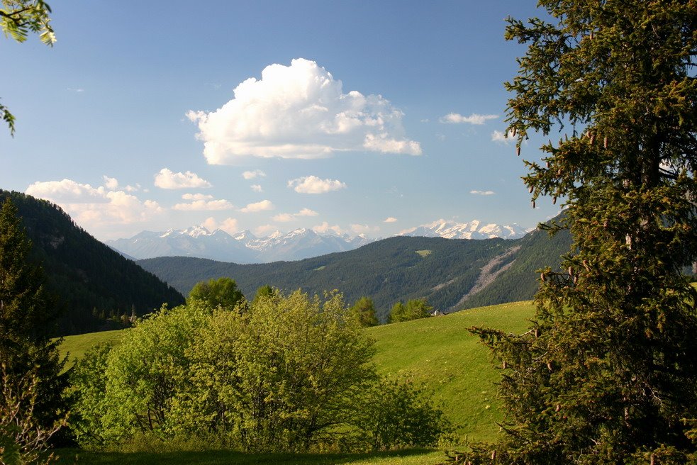 Auf der Seiser Alm by KH.Wegwitz