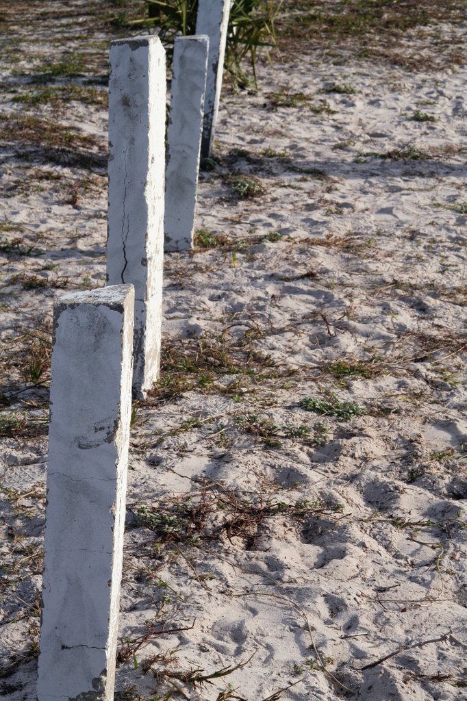 Posts in the sand by Ryan Calhoun