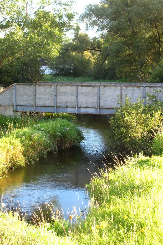 Small bridge on Anna River by UnagiUnagi