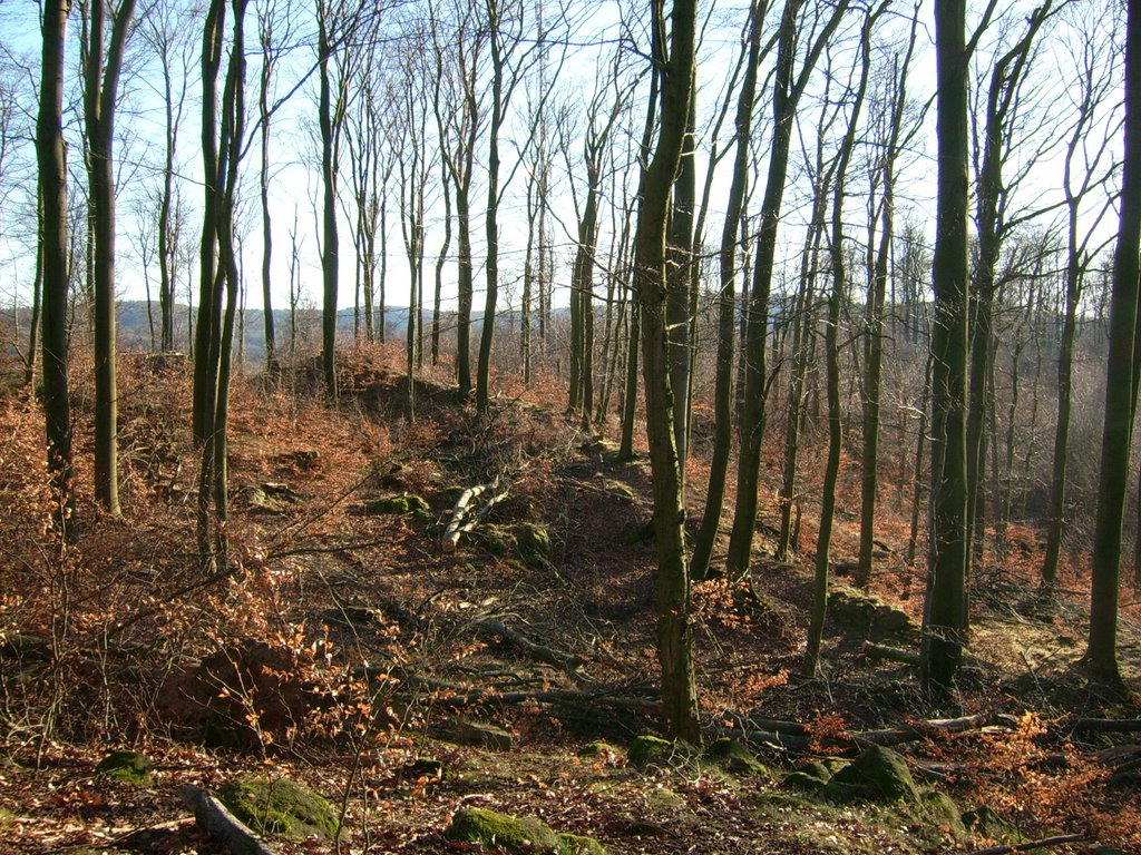 Lichtenberg: Altscheuer/Heuneburg - Reste des keltischen Ringwalls by der_odenwaelder