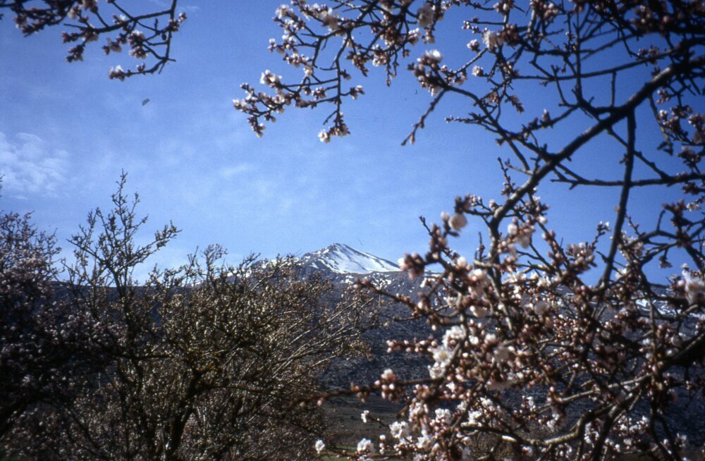 Lasithi-Hochebene by Peter und Ute