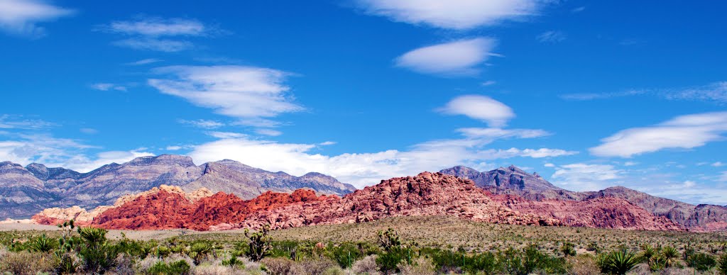 Red Rock Canyon DSC_0008 by Larry Butcher