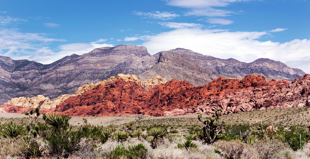 Red Rock Canyon DSC_0009 by Larry Butcher