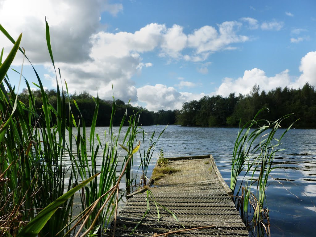 Goostry Lake fishing pier by Keith Stevens