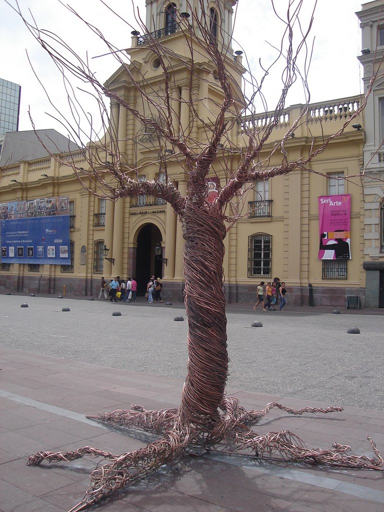 Santiago, Plaza de Armas by laura w