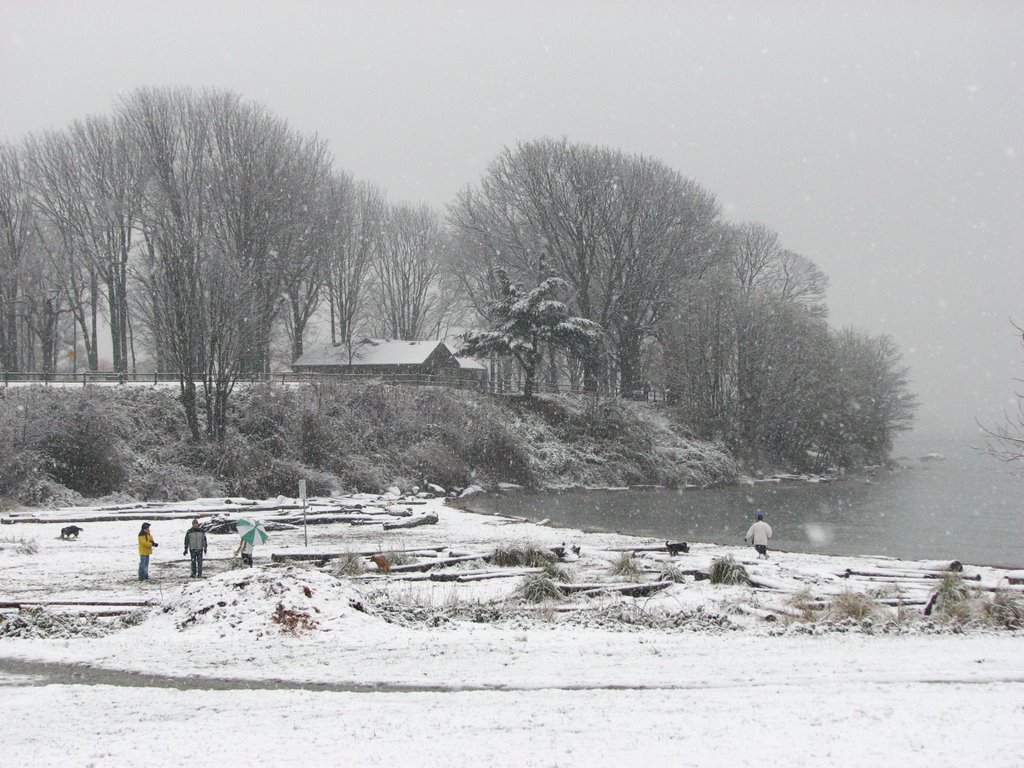 Vancouver Snow Storm by snorth