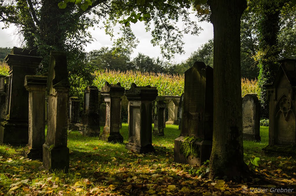 Grabsteinreihen auf dem jüdischen Friedhof in Dülmen by VeeGee