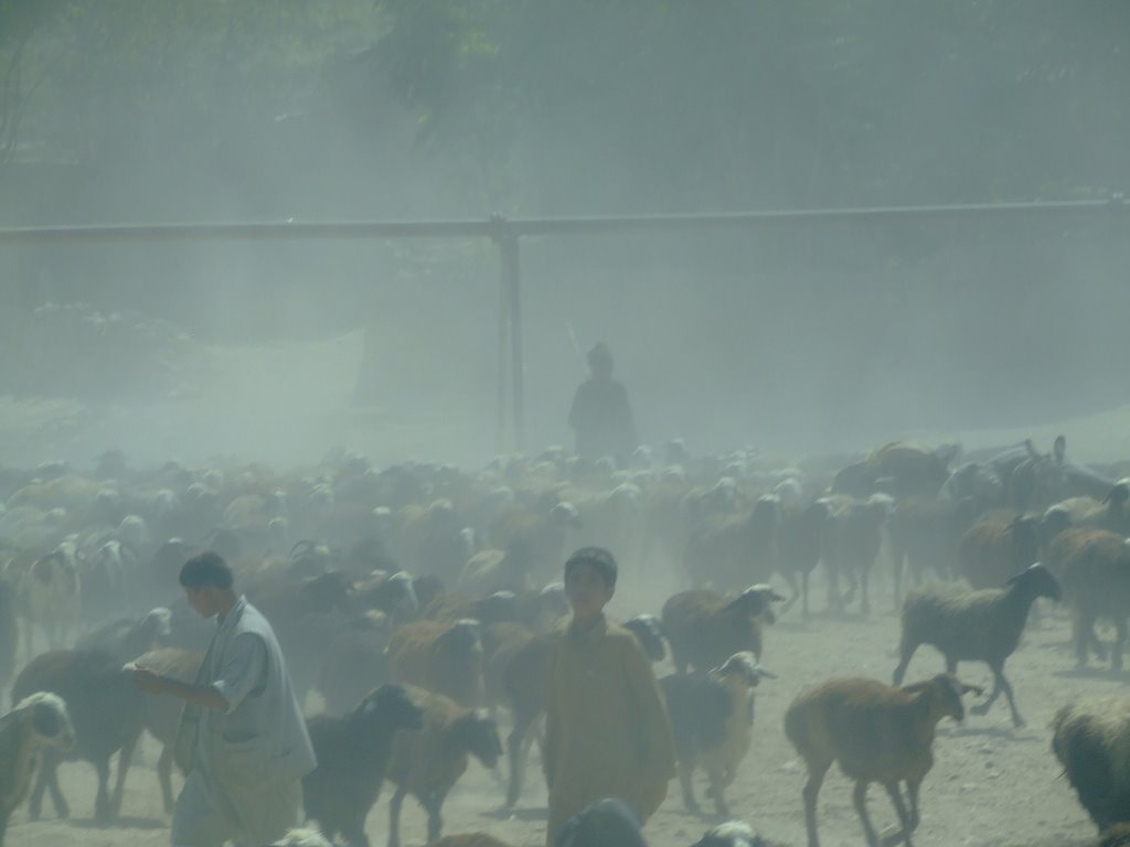 Road to Pol-e Khomri by Andras Furman