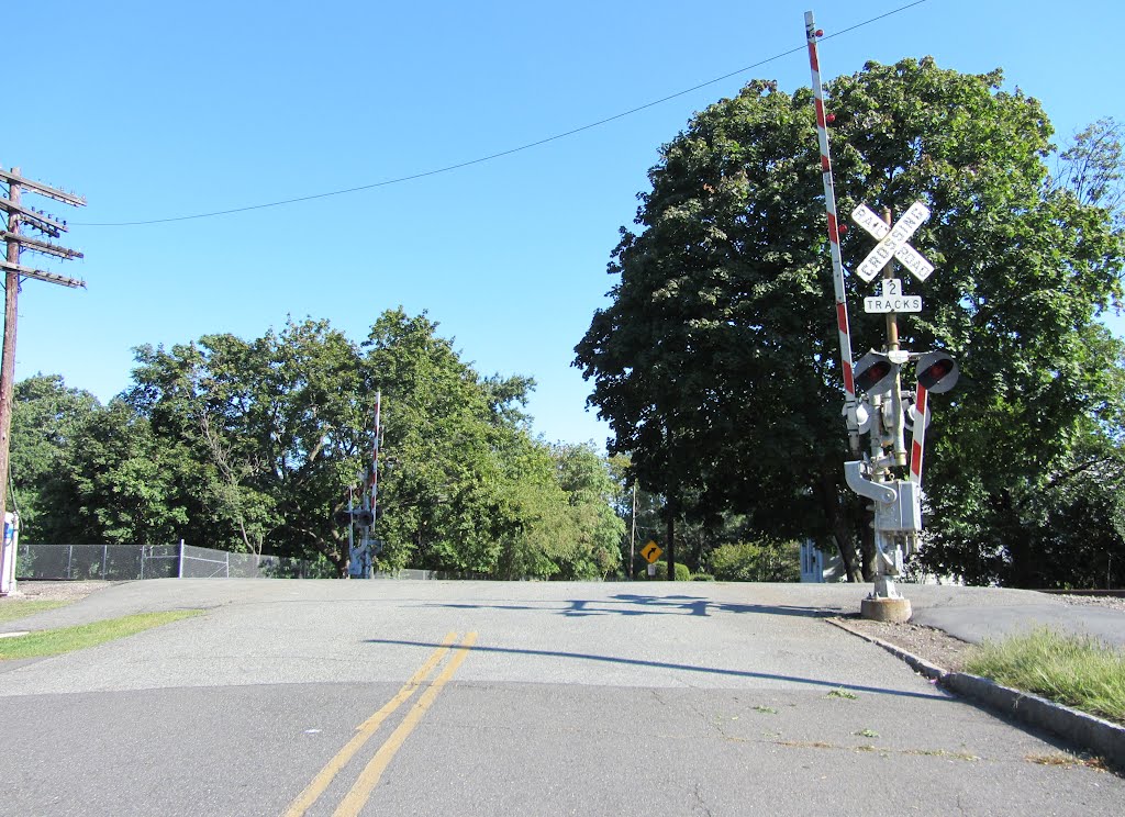 Walnut St RR Xing by Adam Elmquist